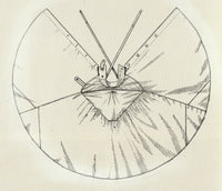 WW1 Austro-Hungarian Imperial Troops Field-Grey Wool Cape With Hood Presale