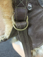 Casque de tankiste IJA de l'armée japonaise de la Seconde Guerre mondiale, hiver