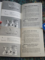WW2 United States USA English / French Phrase Book TM 30-302