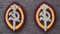 WW2 Soviet Union Russia NKVD Officer Arm Badge High Rank Pair